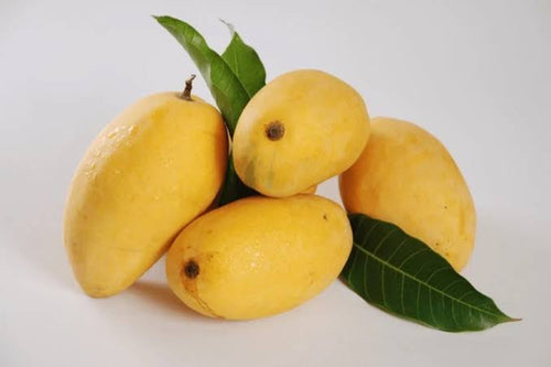 Royal Chaunsa Mangoes ripe golden yellow - Naturally Ripened