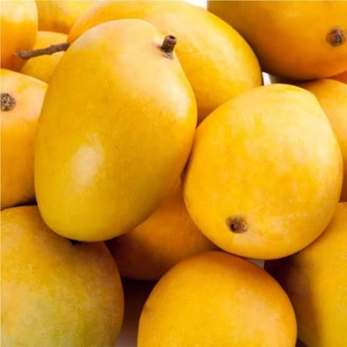 Anwar Ratol Mangoes 2kg — Limited Edition